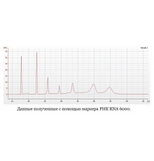 Маркер РНК, RNA 6000, от 200 п.н. до 6000 п.н., 150 мкг/мл, Thermo FS