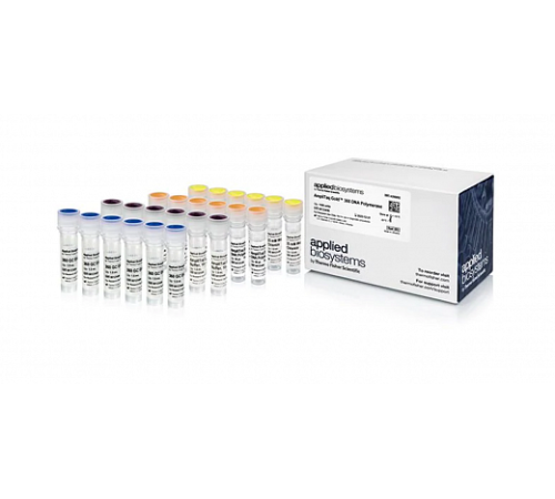 ДНК-полимераза AmpliTaq Gold 360 DNA Polymerase, Thermo FS